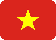 vn